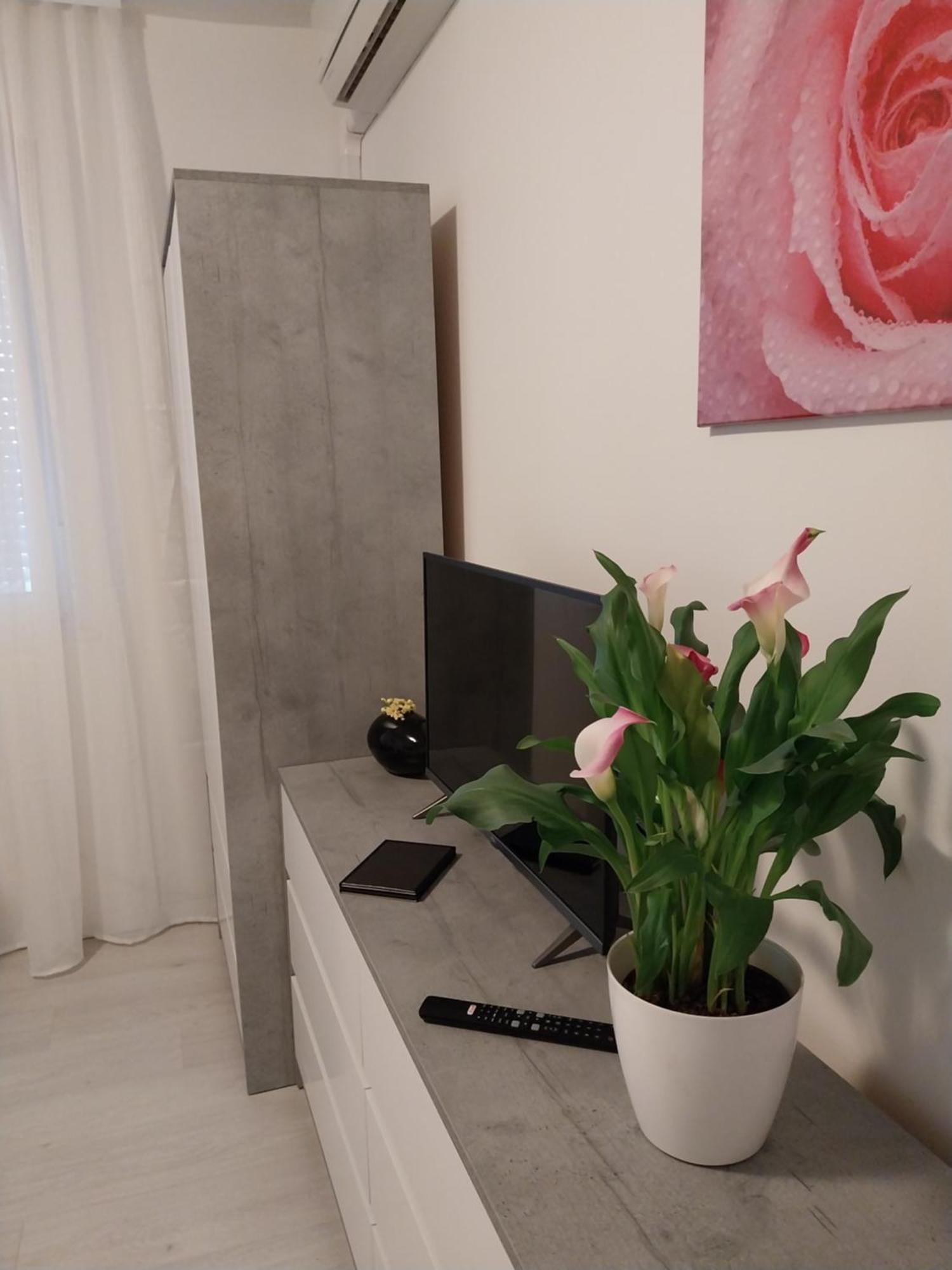 Studio M Πούλα Εξωτερικό φωτογραφία